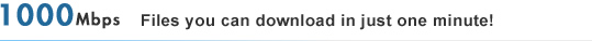 subtitle_11a_1000mbps.jpg