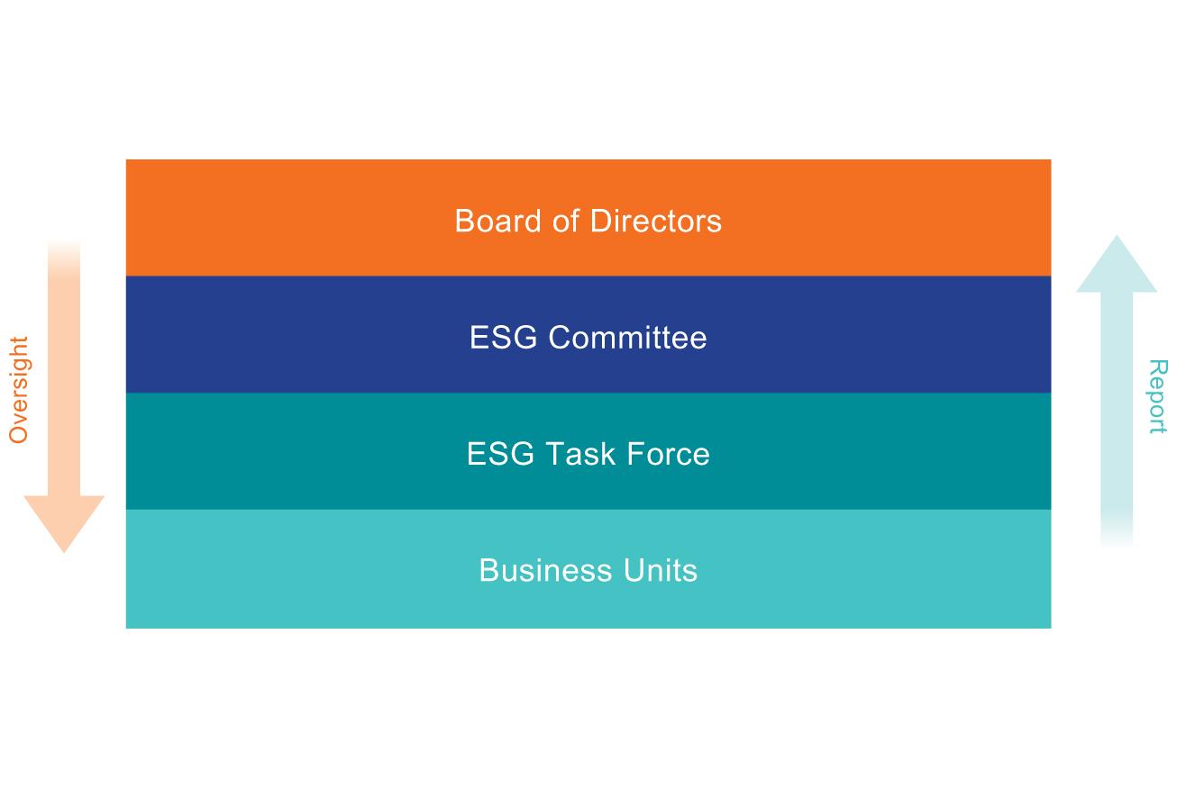 ESG Governance Structure